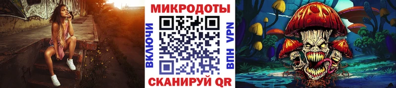 Галлюциногенные грибы Psilocybe  hydra сайт  Губаха 