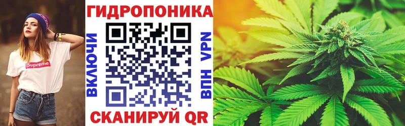 Марихуана планчик  где продают   Губаха 